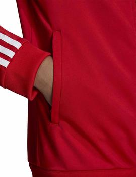 ladrón Iniciar sesión Ambiguo Chaqueta Adidas Superstar Roja